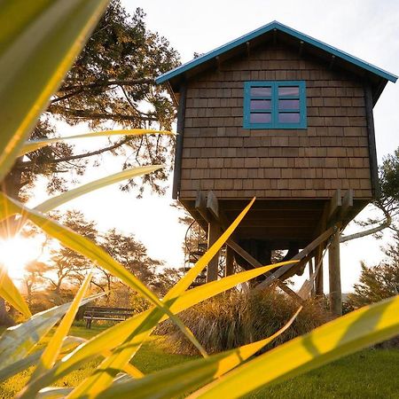 Tui Ridge Eco Cabins Aongatete Eksteriør bilde