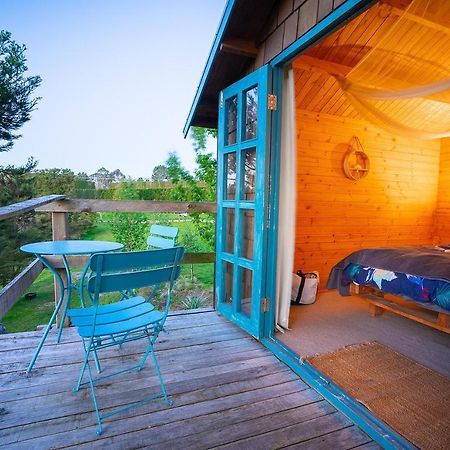 Tui Ridge Eco Cabins Aongatete Eksteriør bilde