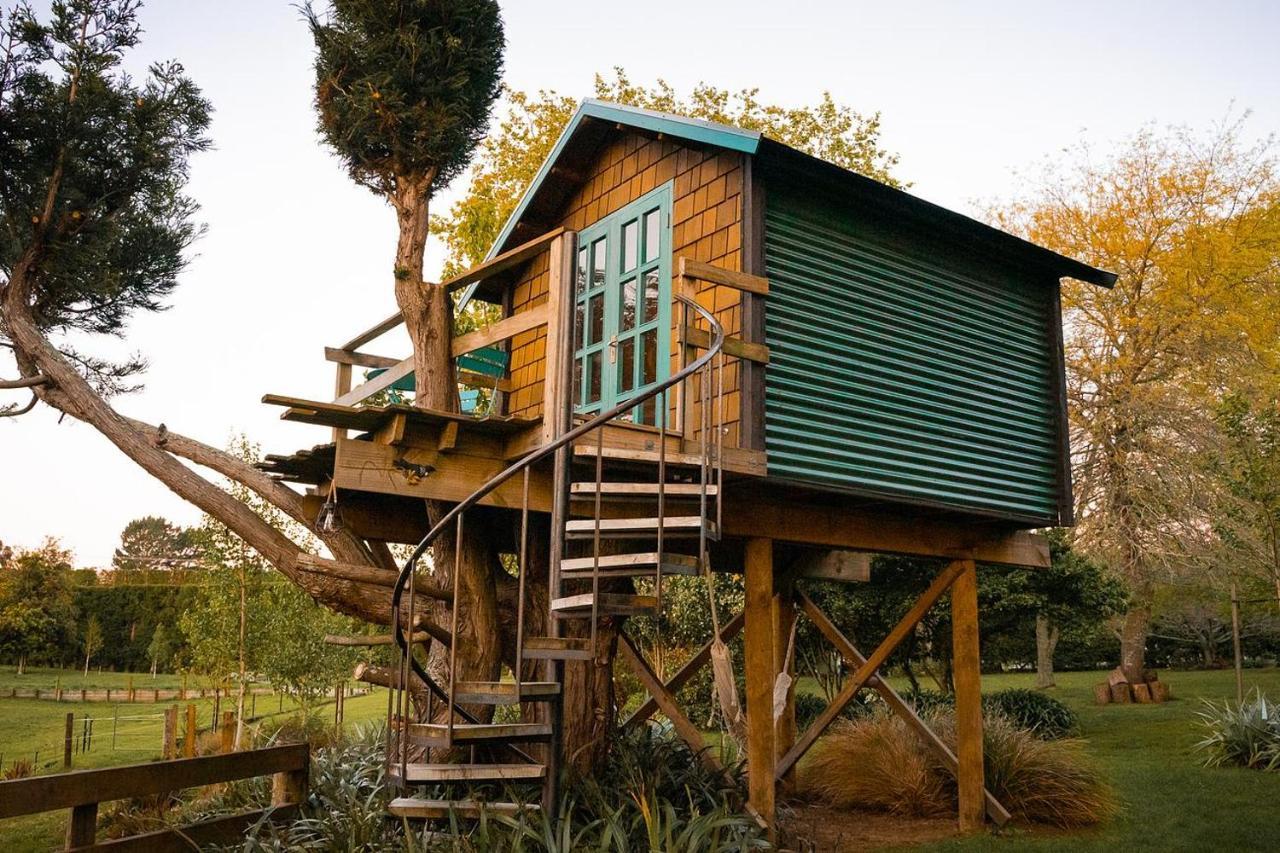 Tui Ridge Eco Cabins Aongatete Eksteriør bilde