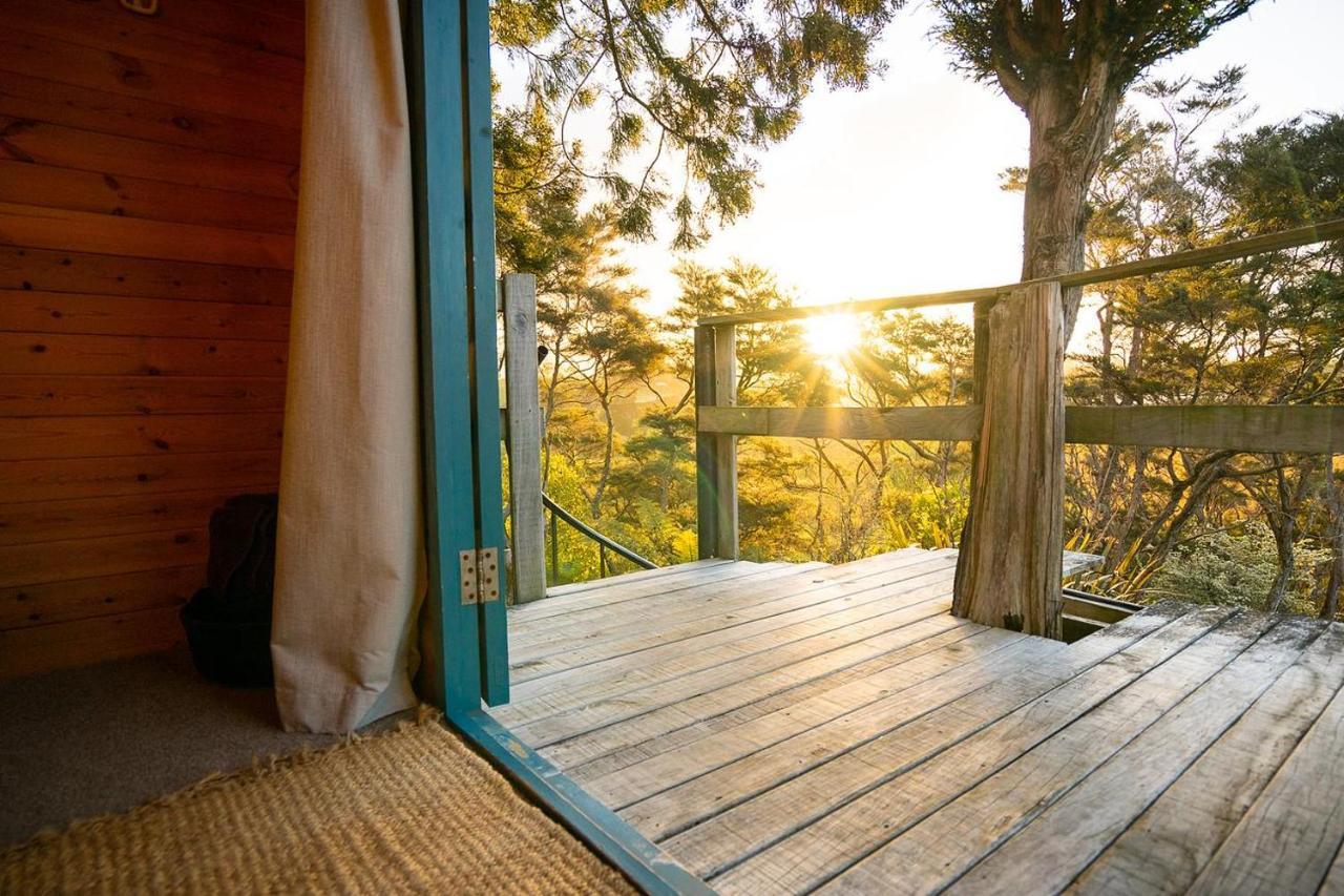 Tui Ridge Eco Cabins Aongatete Eksteriør bilde