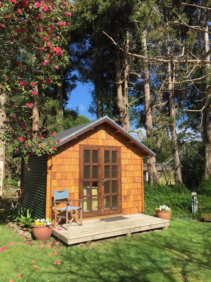 Tui Ridge Eco Cabins Aongatete Eksteriør bilde