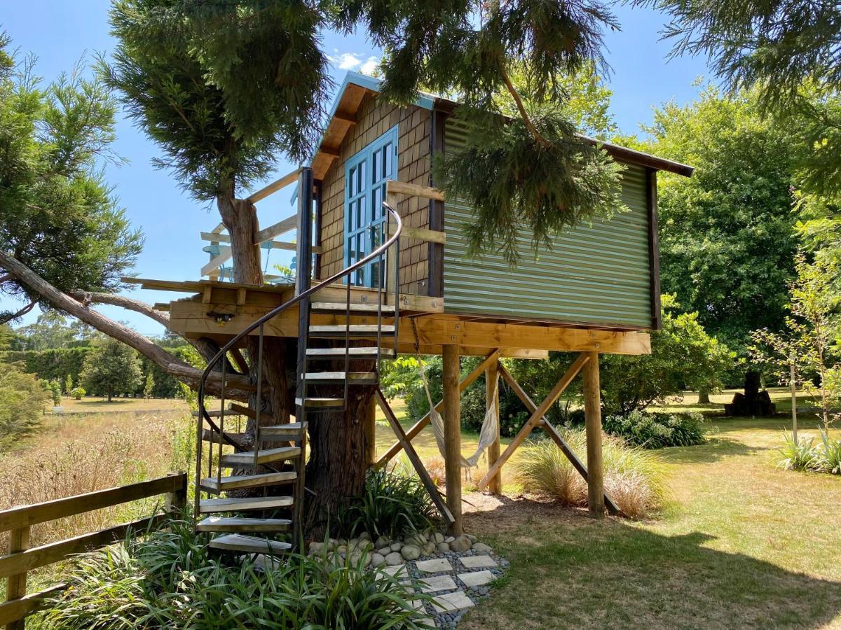 Tui Ridge Eco Cabins Aongatete Eksteriør bilde
