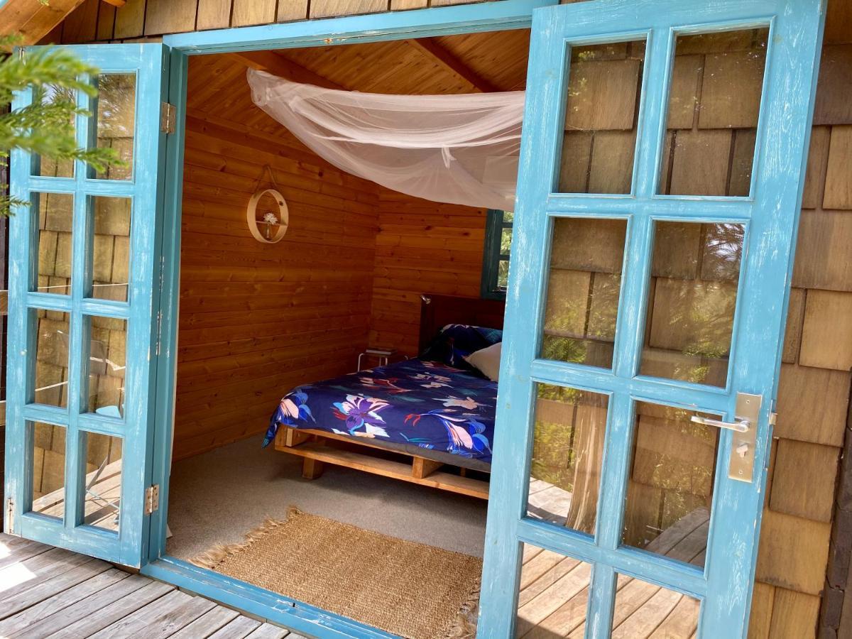 Tui Ridge Eco Cabins Aongatete Eksteriør bilde